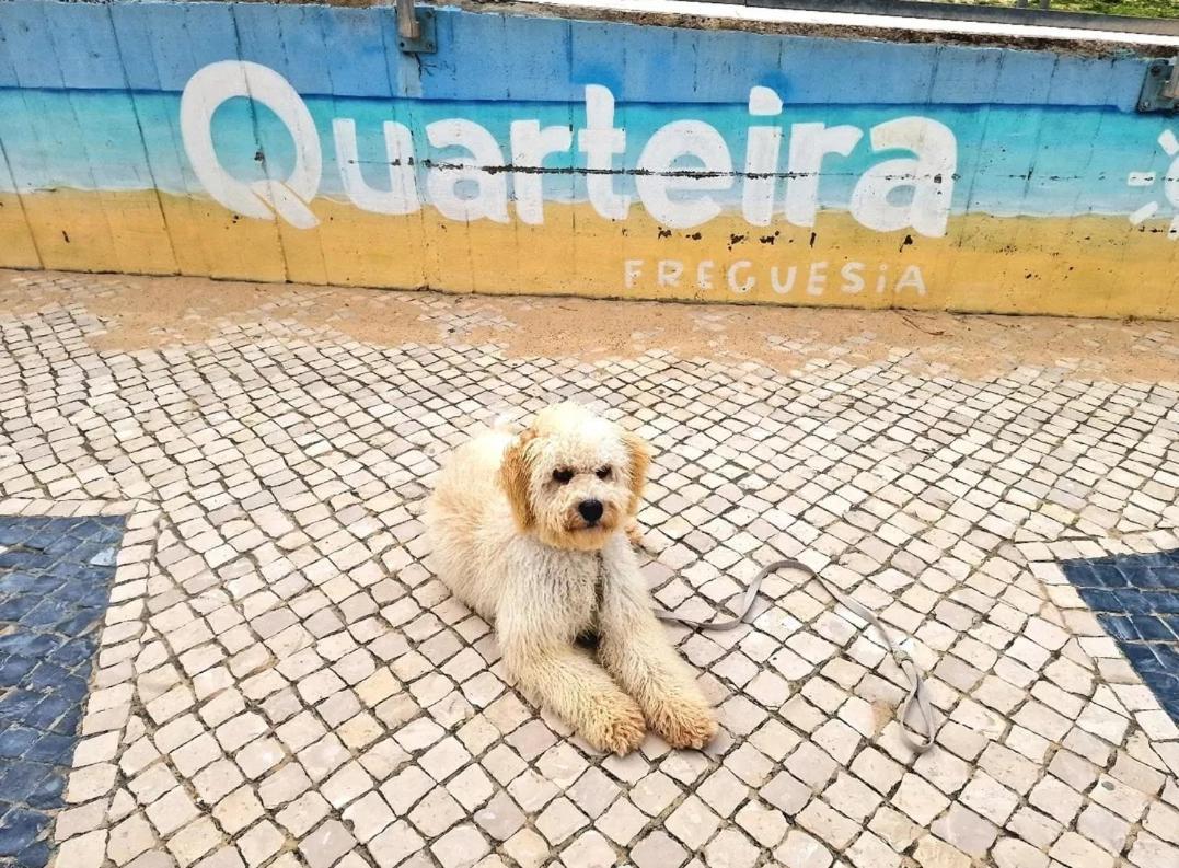 Studio Praia De Quarteira Buitenkant foto